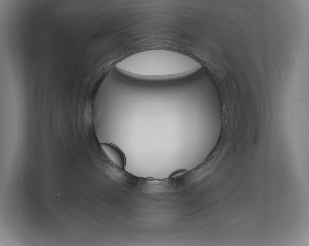 X0000112080240200908041017