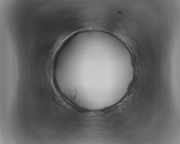 X0000112080241200908041016