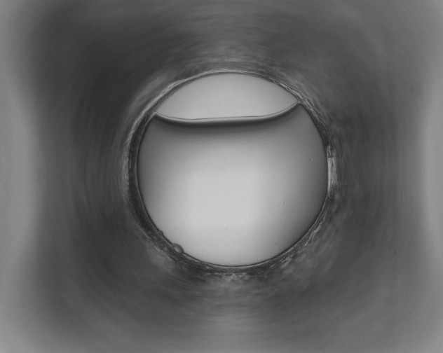 X0000112080243200908041016
