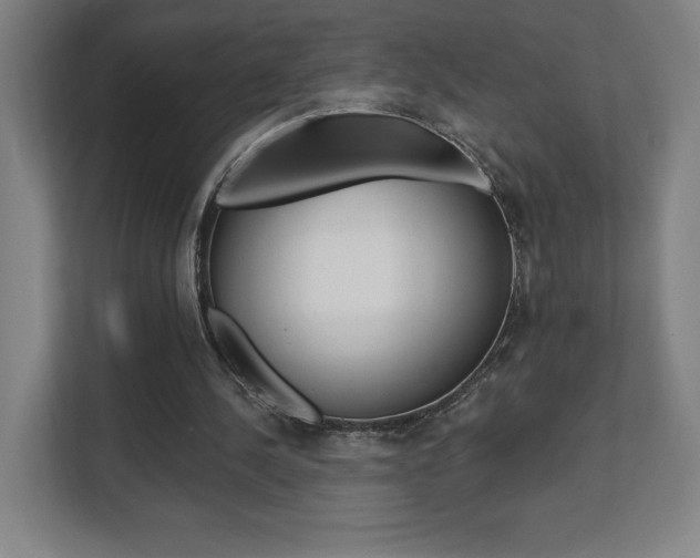 X0000112080244200908041016