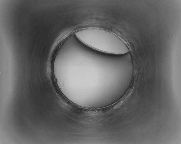 X0000112080245200908041016