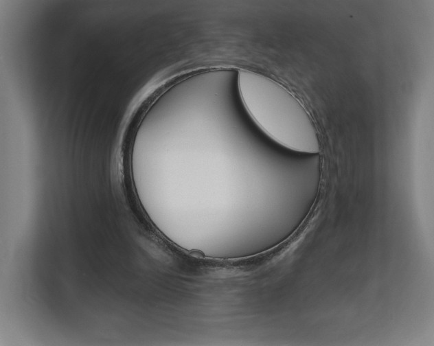 X0000112080246200908041016