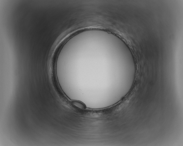 X0000112080247200908041016