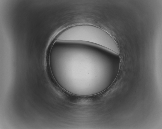 X0000112080248200908041016