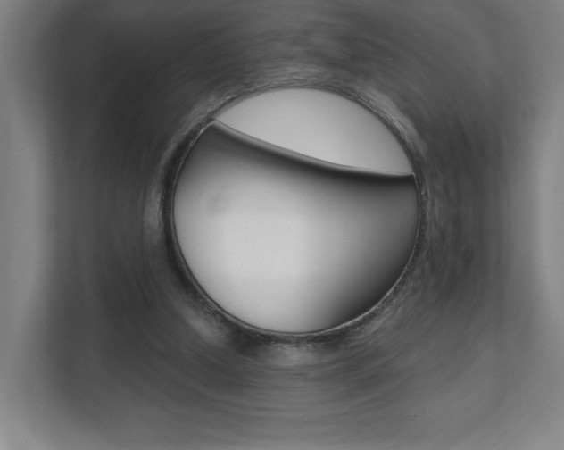 X0000112080250200908041016