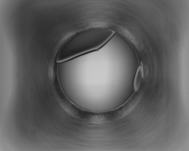X0000112080252200908041016