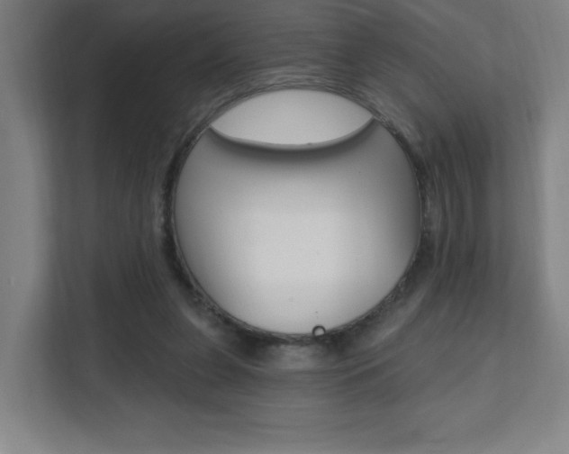 X0000112080255200908041016