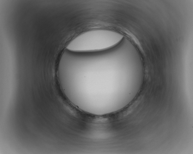 X0000112080257200908041016