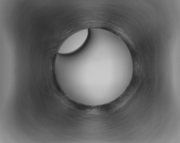 X0000112080259200908041016