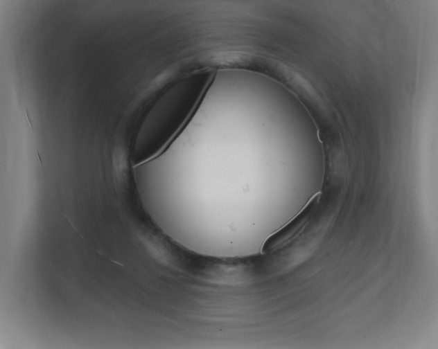 X0000112080260200908041016
