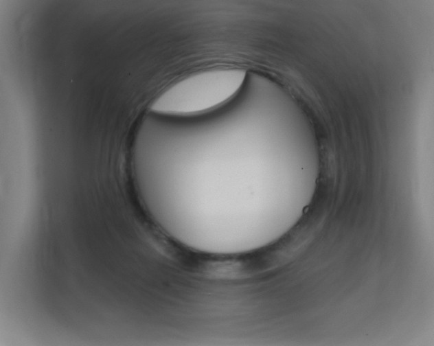 X0000112080266200908041016