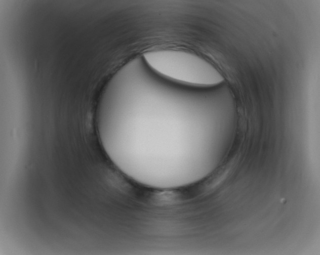 X0000112080269200908041016