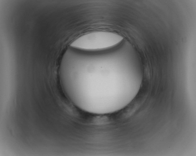 X0000112080271200908041016