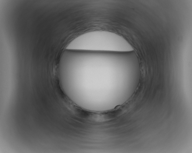 X0000112080276200908041016
