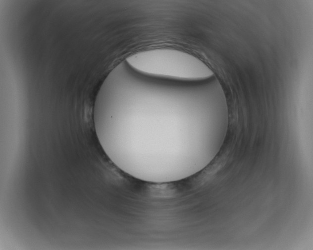 X0000112080281200908041017