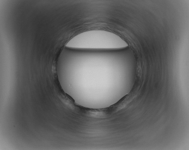 X0000112080284200908041017