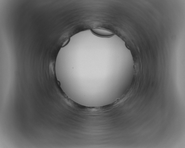 X0000112080286200908041017