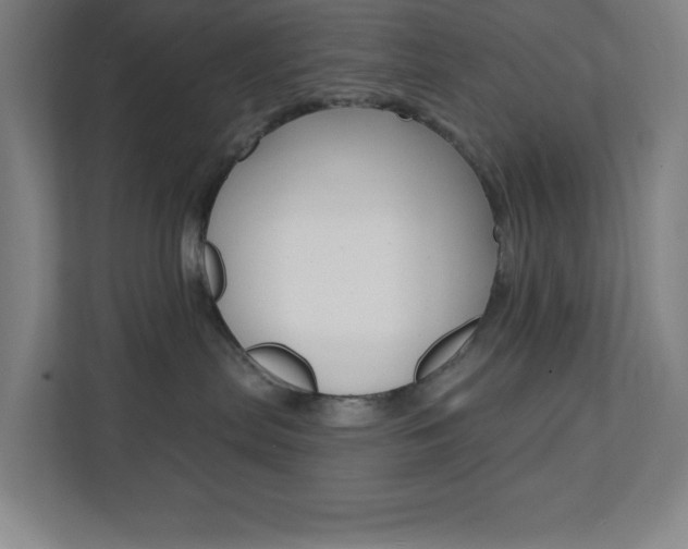 X0000112080287200908041017