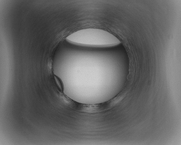 X0000112080288200908041017