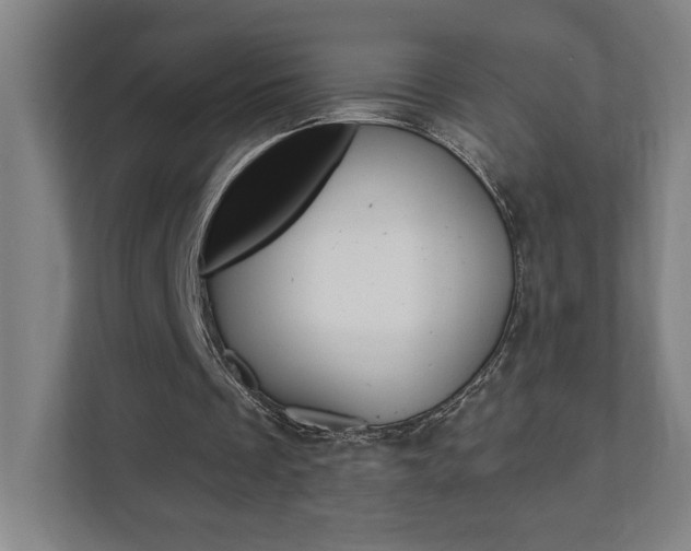 X0000112080289200908041016