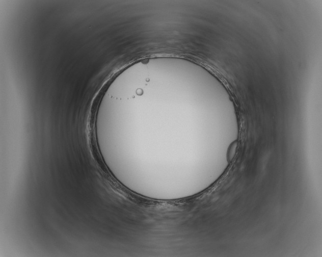X0000112080290200908041016