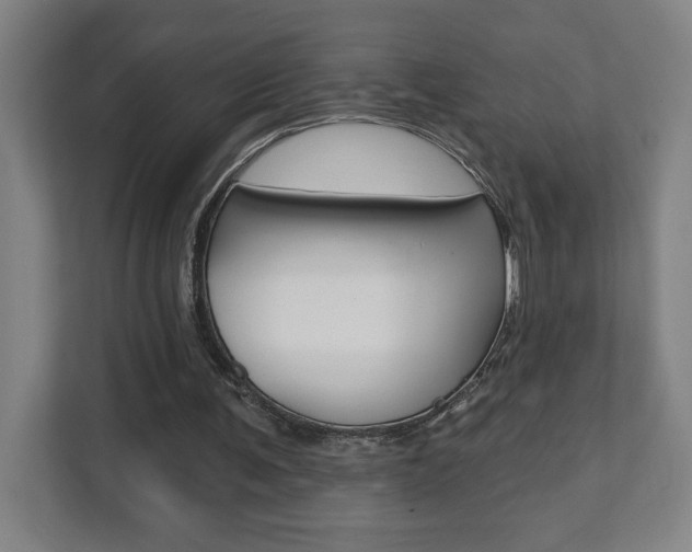 X0000112080291200908041016