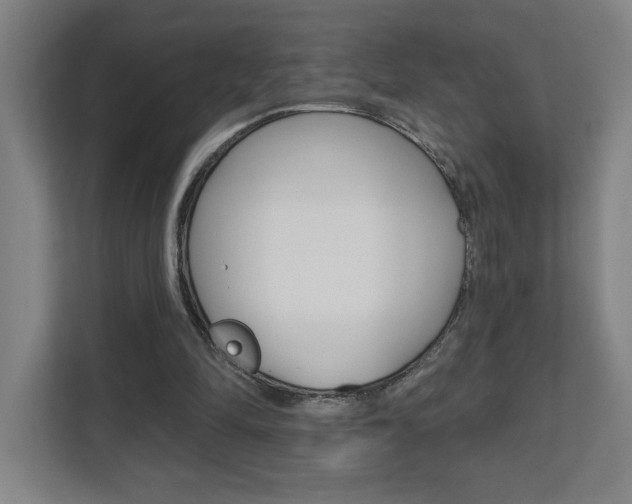 X0000112080294200908041016