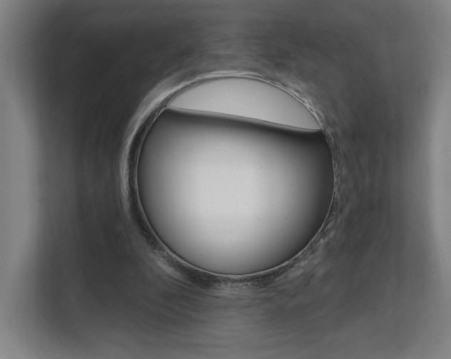 X0000112080296200908041016