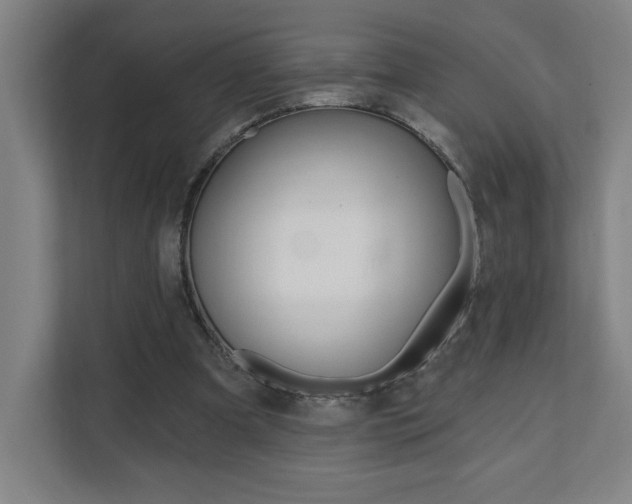 X0000112080297200908041016
