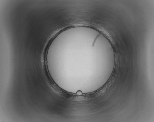 X0000112080298200908041016