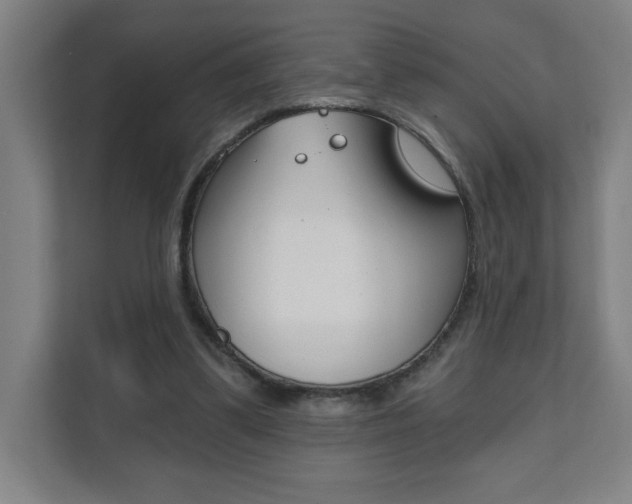 X0000112080299200908041016