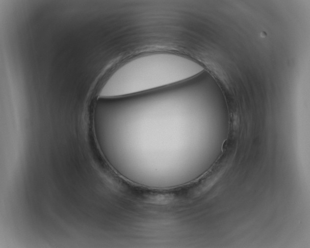 X0000112080304200908041016