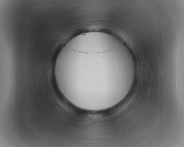 X0000112080311200908041016