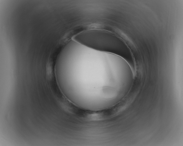 X0000112080312200908041016