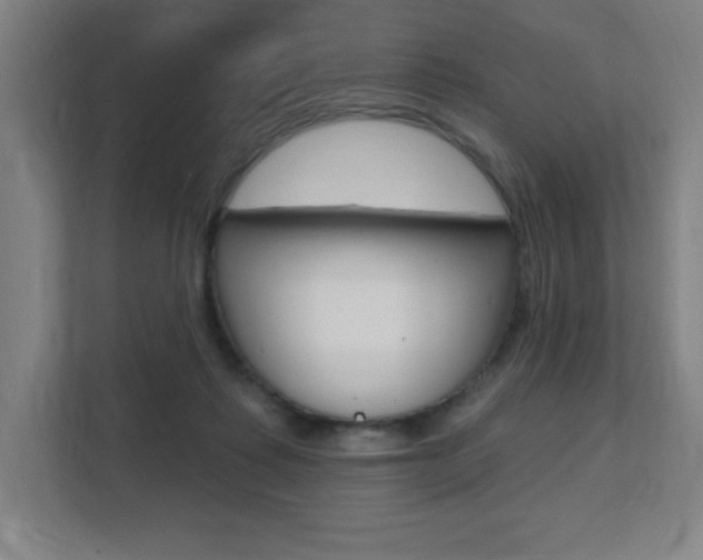 X0000112080315200908041016