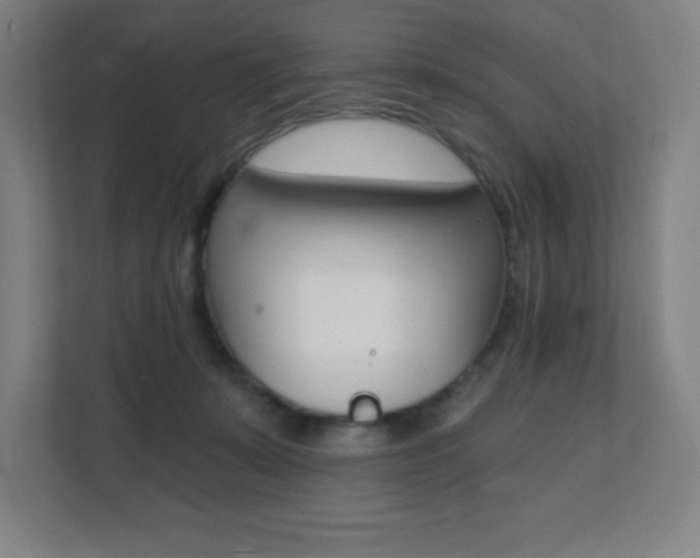 X0000112080319200908041016