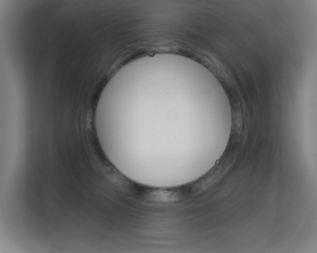 X0000112080326200908041016
