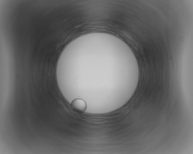 X0000112080327200908041016