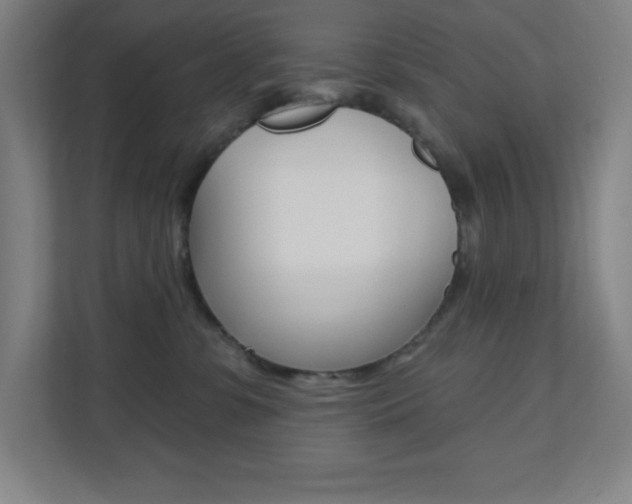 X0000112080331200908041015