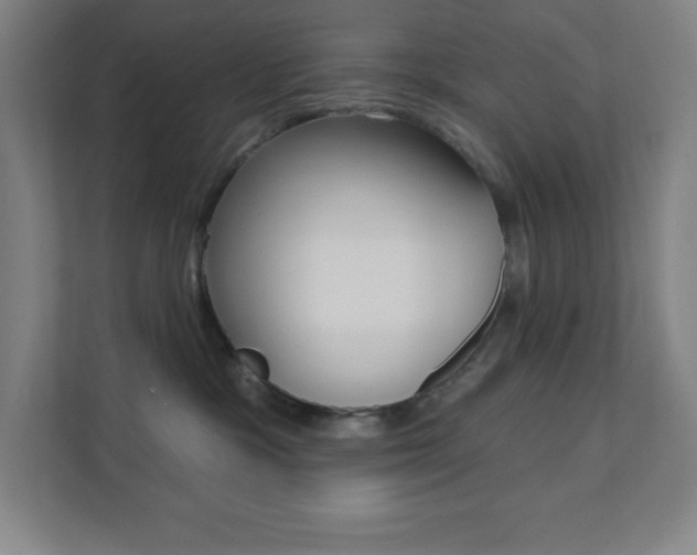 X0000112080333200908041015