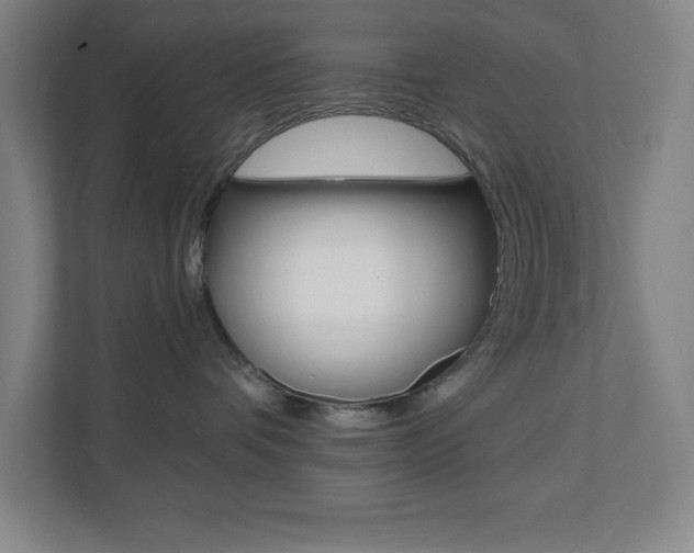 X0000112080336200908041015