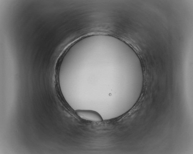X0000112080338200908041015