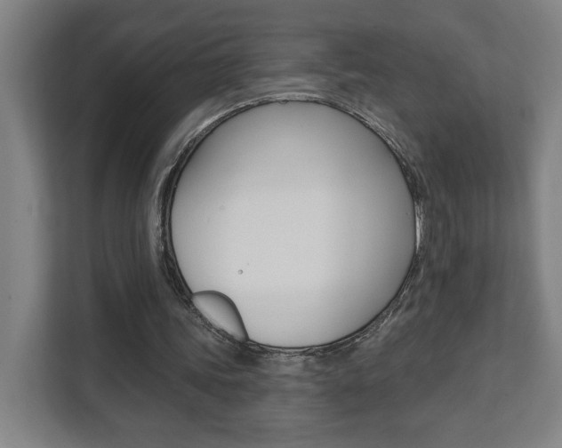 X0000112080339200908041015