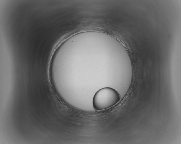 X0000112080340200908041015