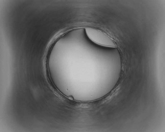 X0000112080341200908041015