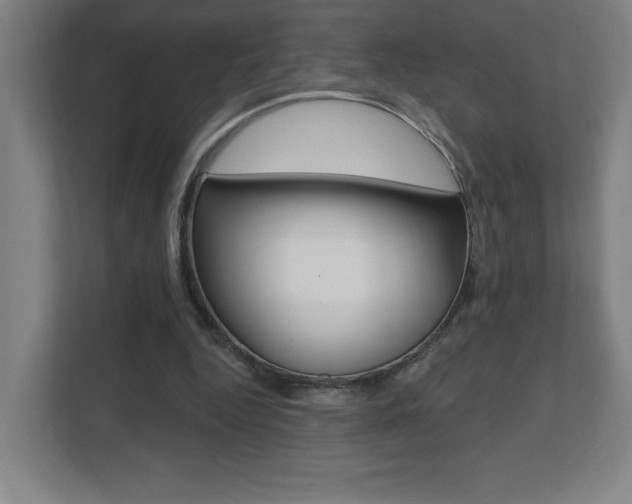 X0000112080344200908041015