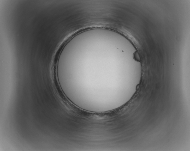 X0000112080346200908041015