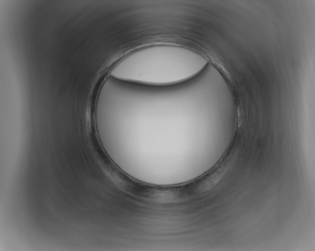 X0000112080349200908041015