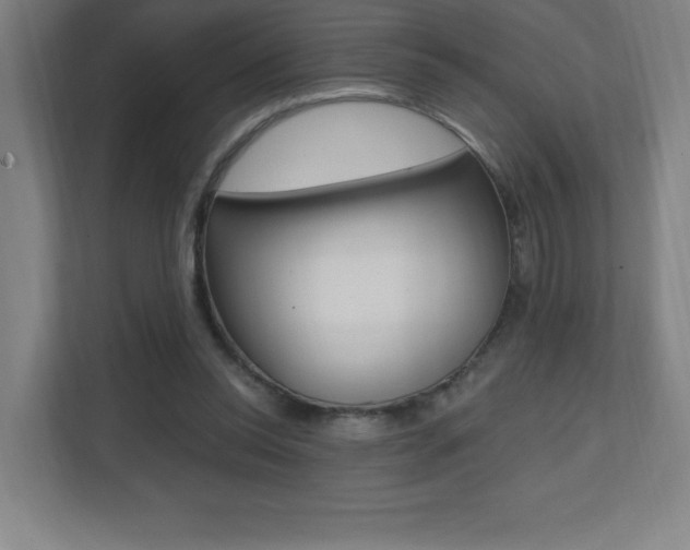 X0000112080350200908041015