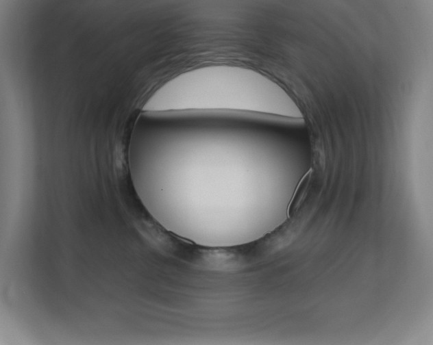 X0000112080380200908041015